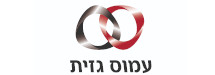 עמוס גזית