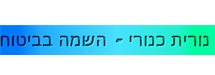 נורית כנורי שרותי השמה בביטוח