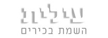 עילית השמת בכירים